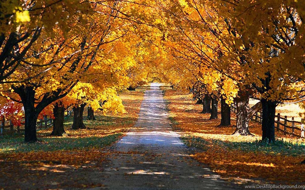 Backgrounds Scenery Images Wallpapers HD Base