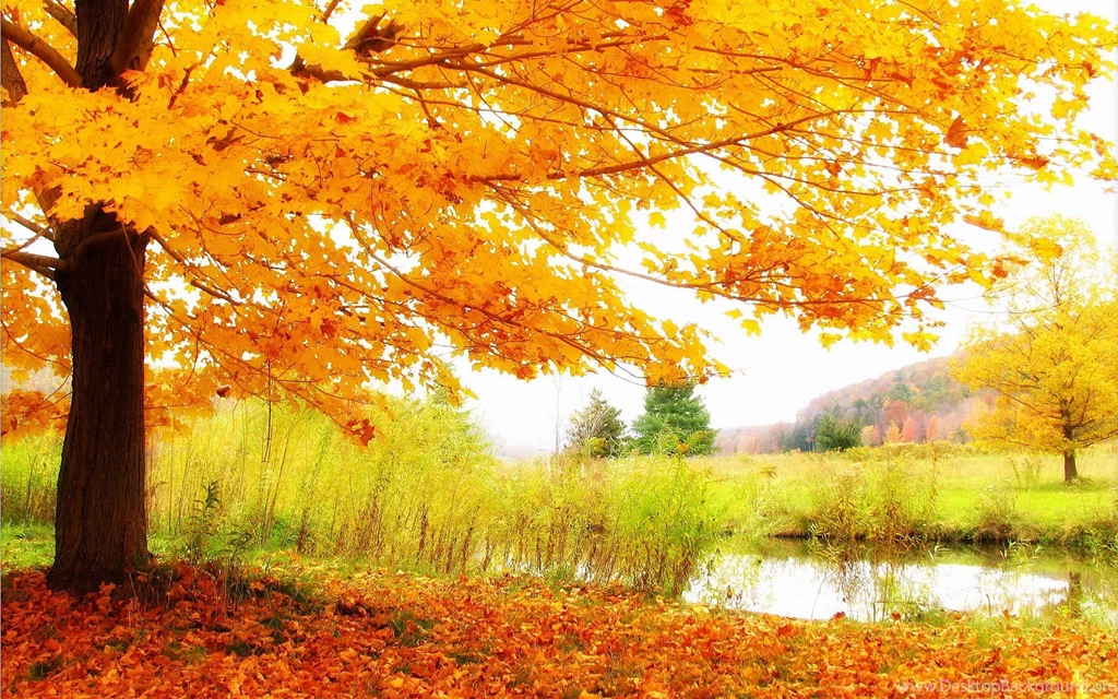 Fall Scenery Backgrounds Wallpapers Cave