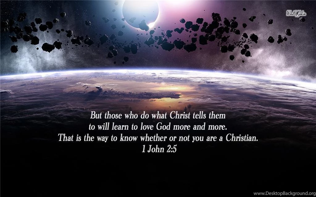 Christmas Cards 2012: August 2011