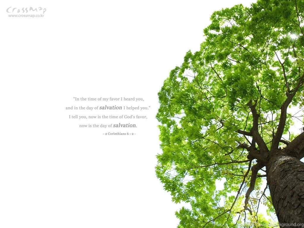 Scenery Wallpapers With Bible Verses 1024x768 NO.32 Desktop ...