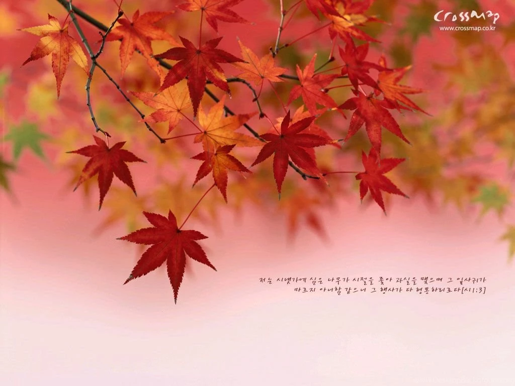 Christian Wallpapers With Bible Verses 1024x768 NO.10 Desktop ...
