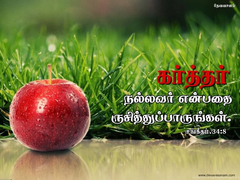 Download HD New Year 2016 Bible Verse Greetings Card & Wallpapers ...