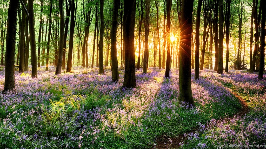 Ultra HD 4k Wallpapers For PC 12068 HD Wallpapers Site