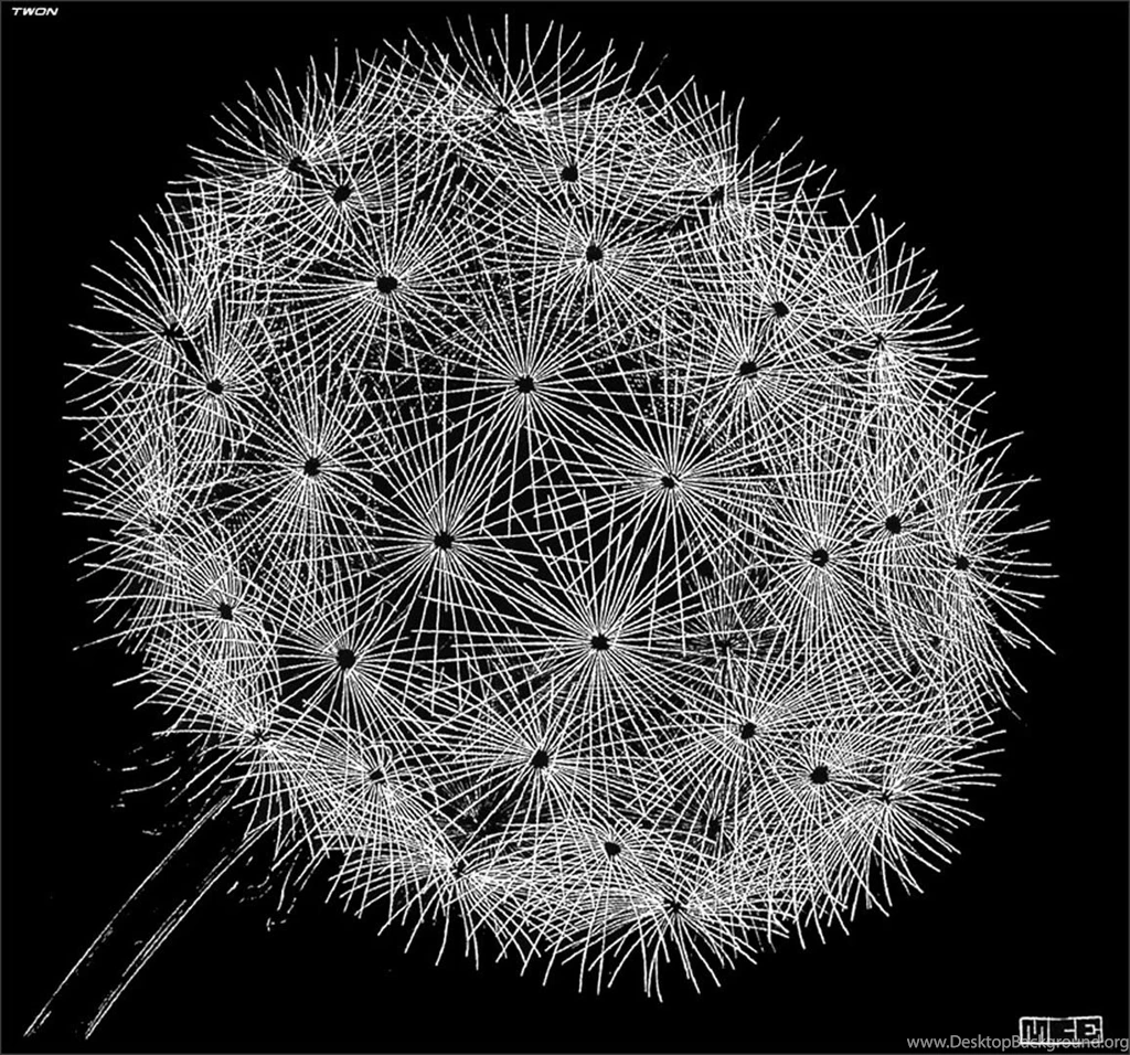 Blowball Optical Illusion M C Escher Art Wallpapers Picture