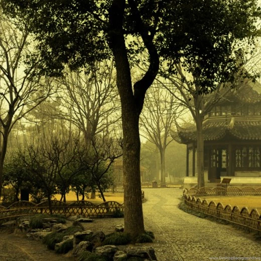 30 Heart Grasping Apple iPad HD Wallpapers