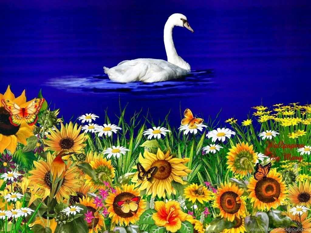 Spring Flowers Pictures Free Wallpapers High Definition
