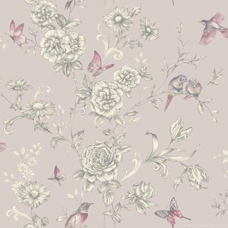 Colours Evelyn Grey Wallpapers