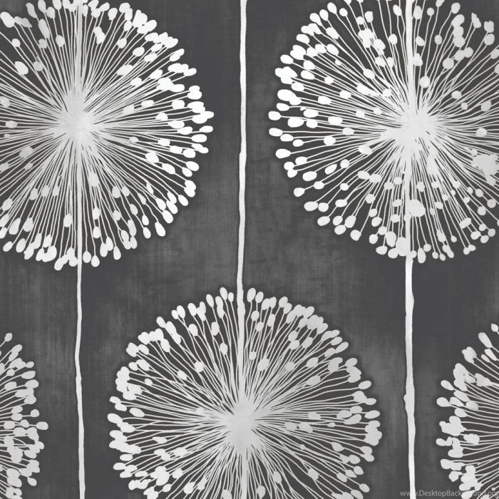 Muriva Dandelion Floral Designer Feature Wallpapers Black / Grey ...