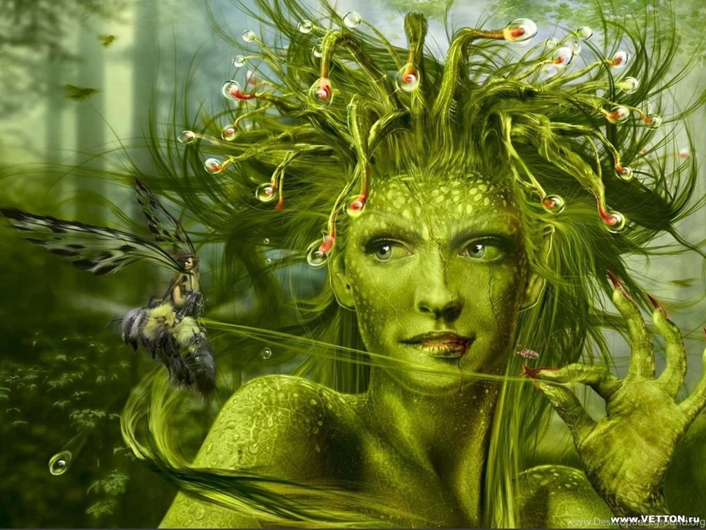 Spicy Wallpapers Coffee: Nymphs