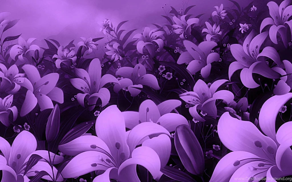 Purple Flowers Backgrounds Wallpapers 40854