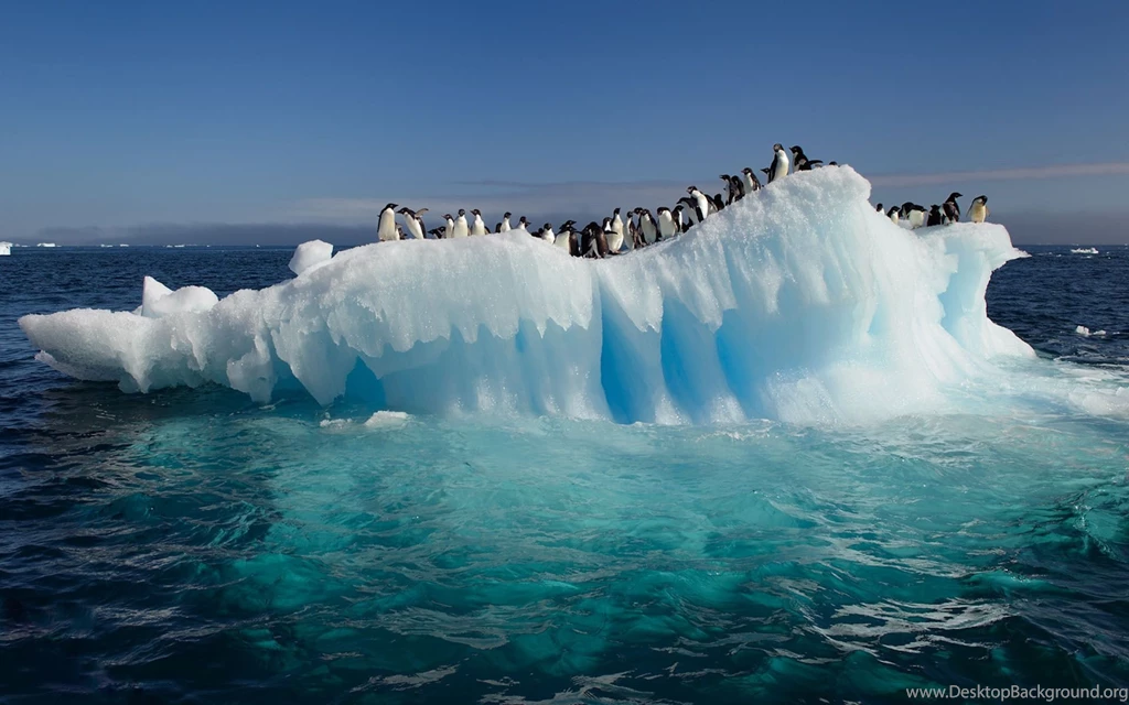 8 Impressive And Best Ocean HD Wallpapers   I Am Qurat