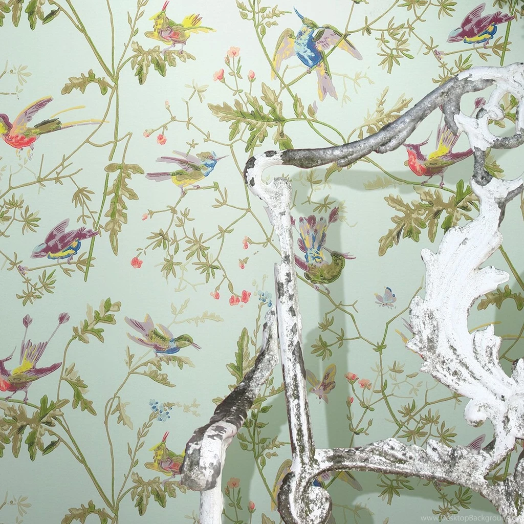 Hummingbirds 62/1004 Collection Of Flowers Cole & Son