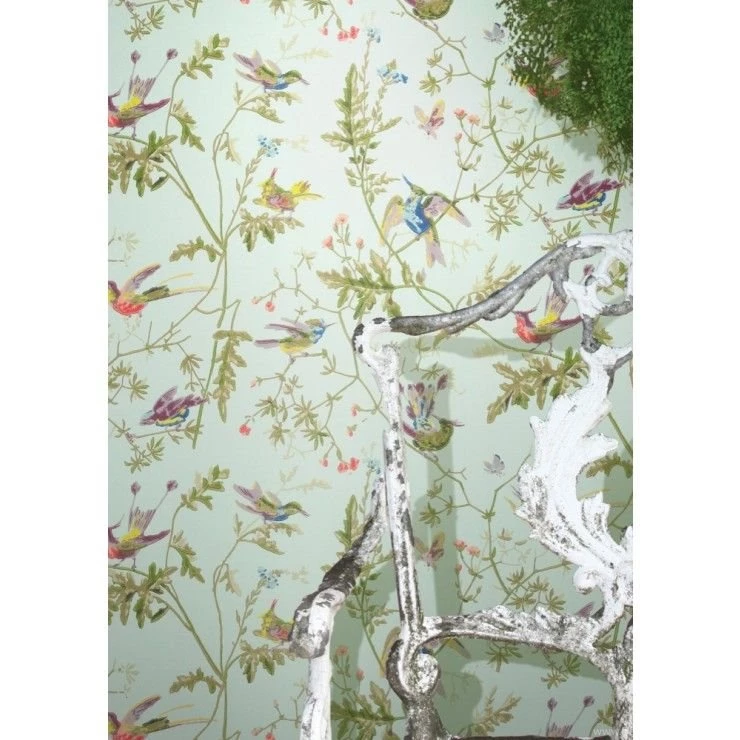 Buy Cole And Son Hummingbirds Free Next Day Delivery