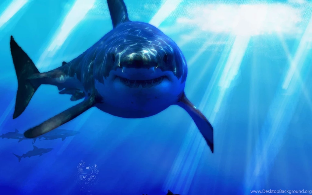 GREAT WHITE SHARK Wallpapers