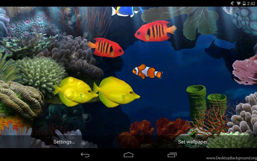 Top Live Wallpapers HD Wallpapers And Pictures