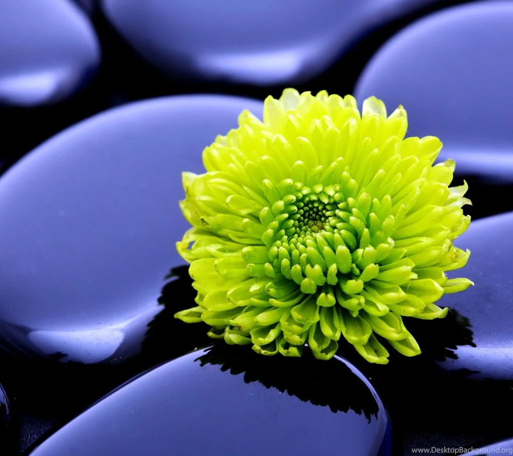 HTC Wallpapers HD Beautiful, Stunning Nature Wallpapers