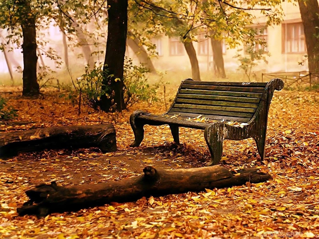 Nature Wallpaper Autumn Fall.jpg