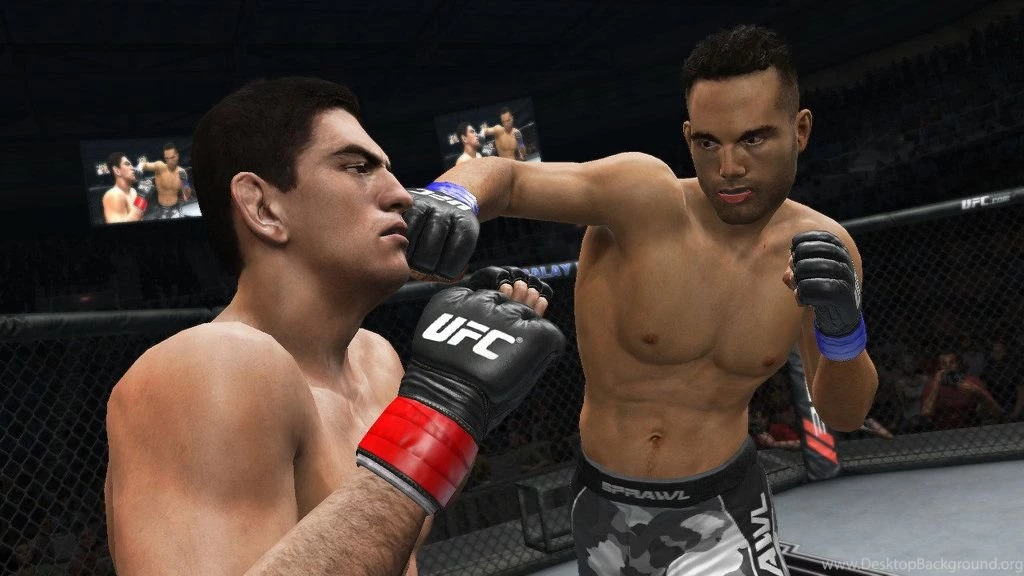 UFC Undisputed 3 Desktop Wallpapers