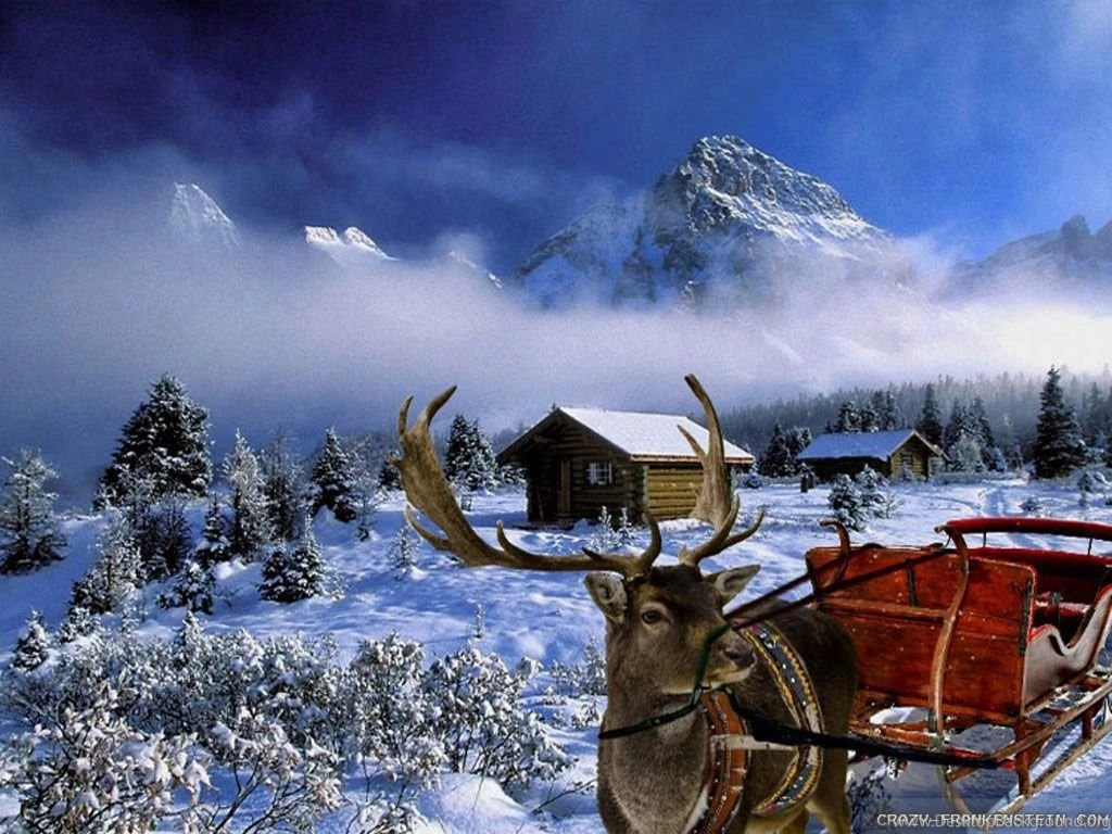 Desktop Wallpapers Winter Scenes Wallpapers Cave