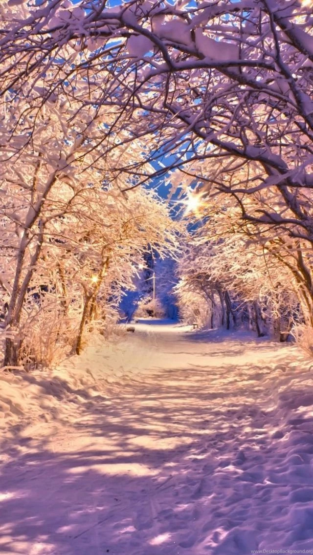 35+ Cool And Awesome iPhone 6 Wallpapers In HD Quality