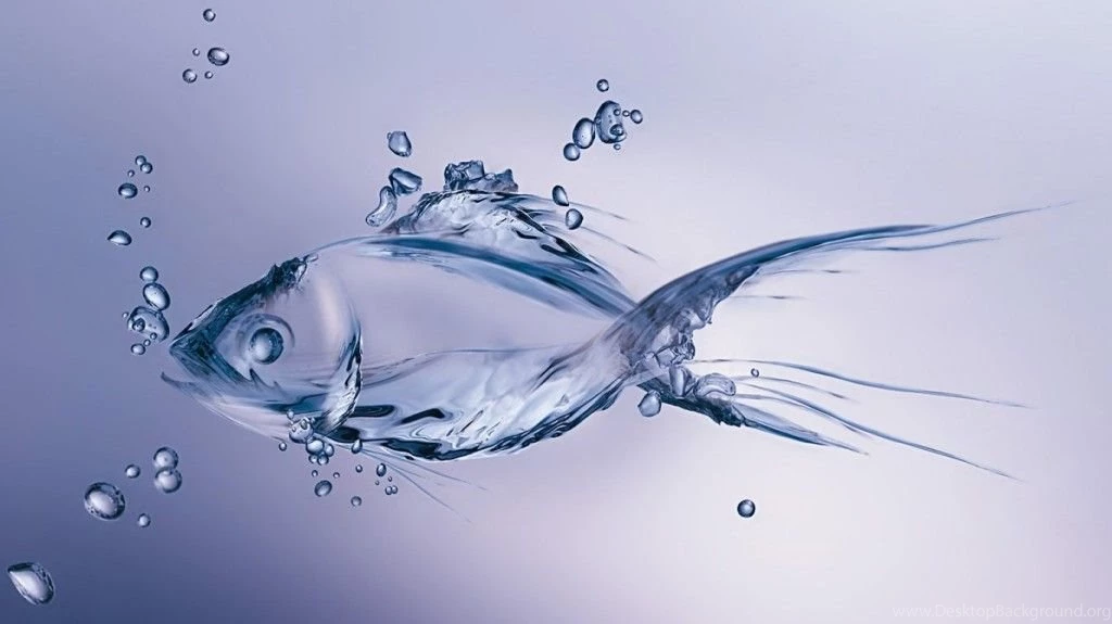 Water Drop Fish Wallpapers 4389 1024x575 Px ~ WallpaperFort.com