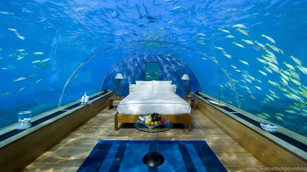 Fish Tag Wallpapers: Absolutely Best Bedroom World Shark Tank ...