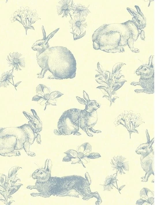 Pen And Ink Sketch Bunny Rabbit Storybook By WallpaperYourWorld