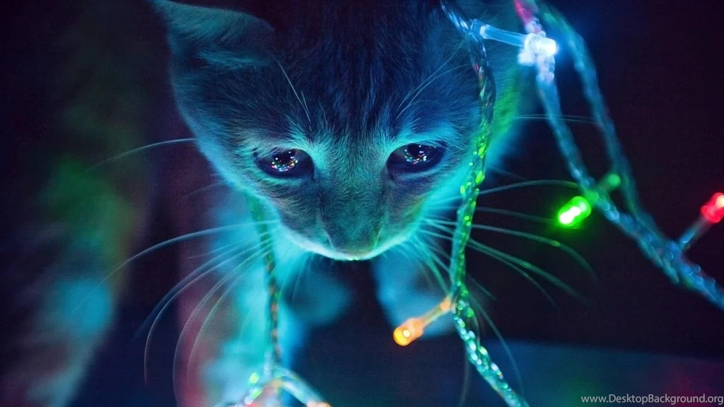 Christmas Lights Wallpapers >> Backgrounds With Quality HD Page 3