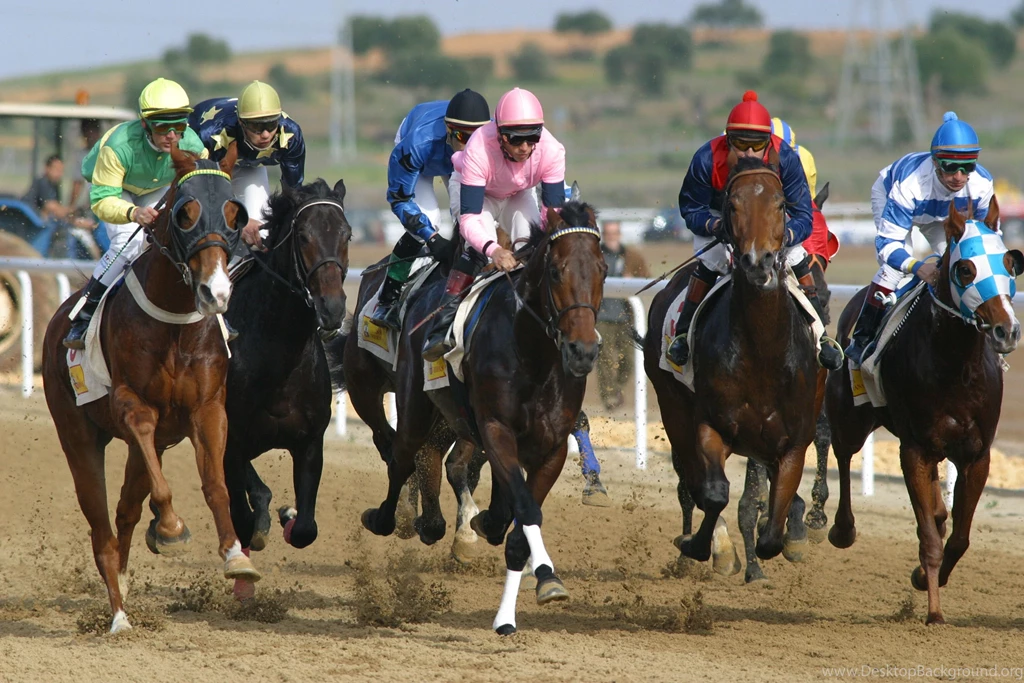 Thoroughbred Horse Wallpapers
