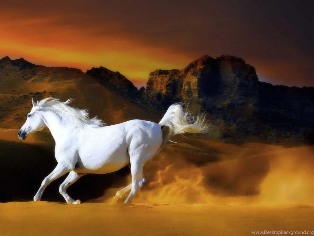 Download Horse Racing Wallpapers For Desktop Looks Hot
