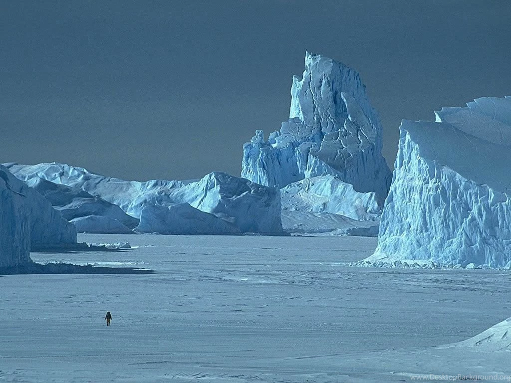 Arctic Wallpapers