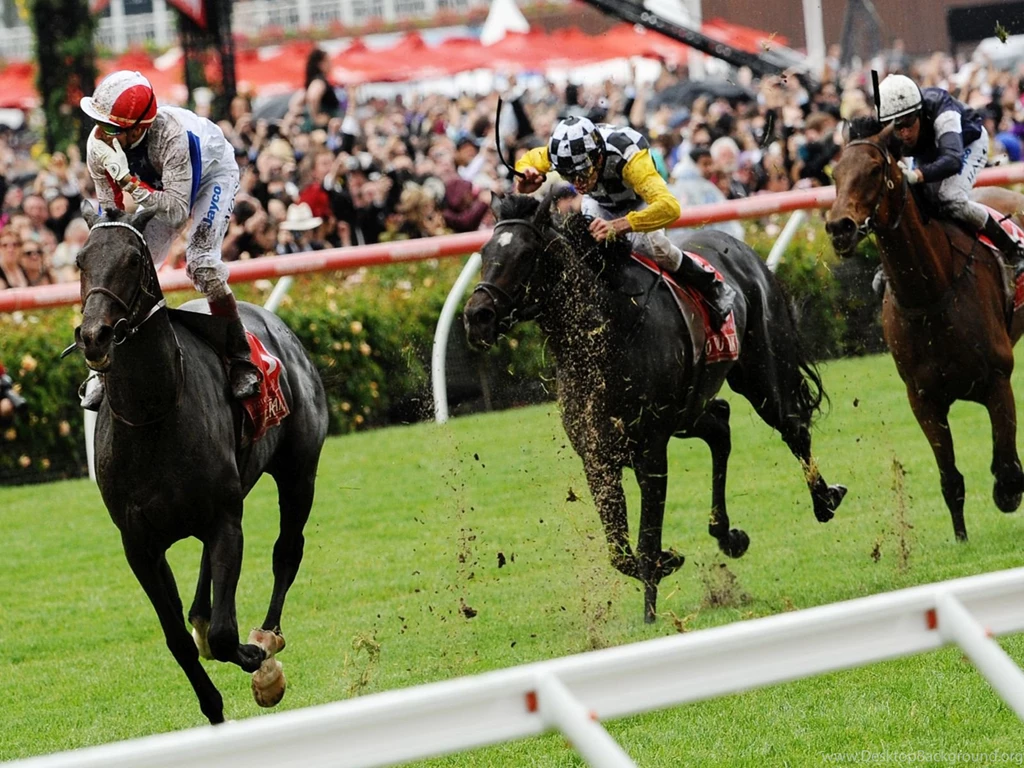 Free Horse Racing Melbourne Cup Computer Desktop Wallpapers
