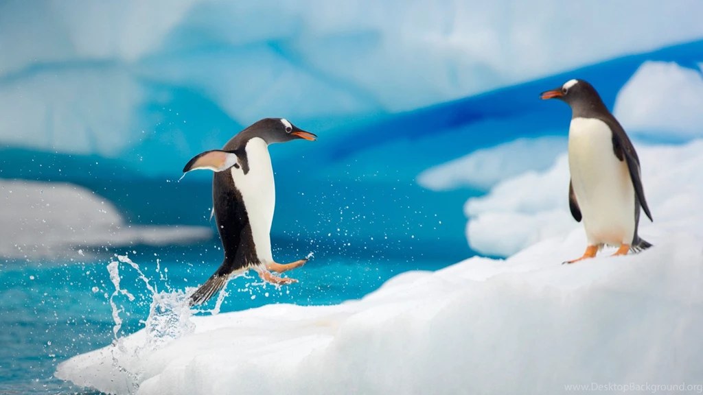 Download Wallpapers 3840x2160 Penguins, Couple, Snow, Ice, Arctic ...