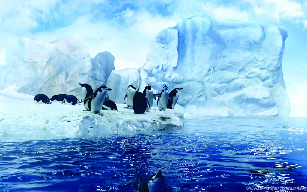 Penguins dancing in the Arctic HD wallpaper_5120x3200.jpg