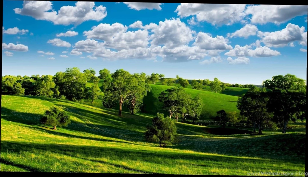 Best Computer Desktop Wallpapers   3 Items