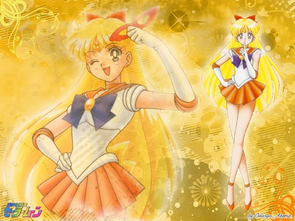 Sailor Venus Sailor Moon Wallpapers (23588474) Fanpop