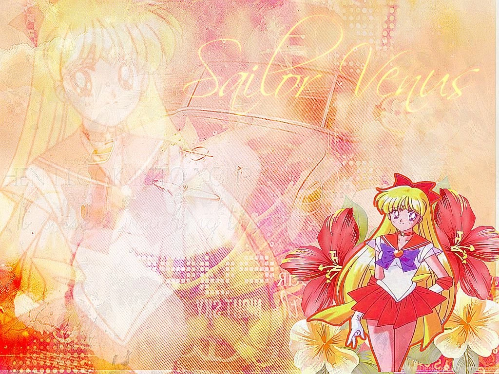 Wallpapers Sailor Venus By XSailorGinusx On DeviantArt. 