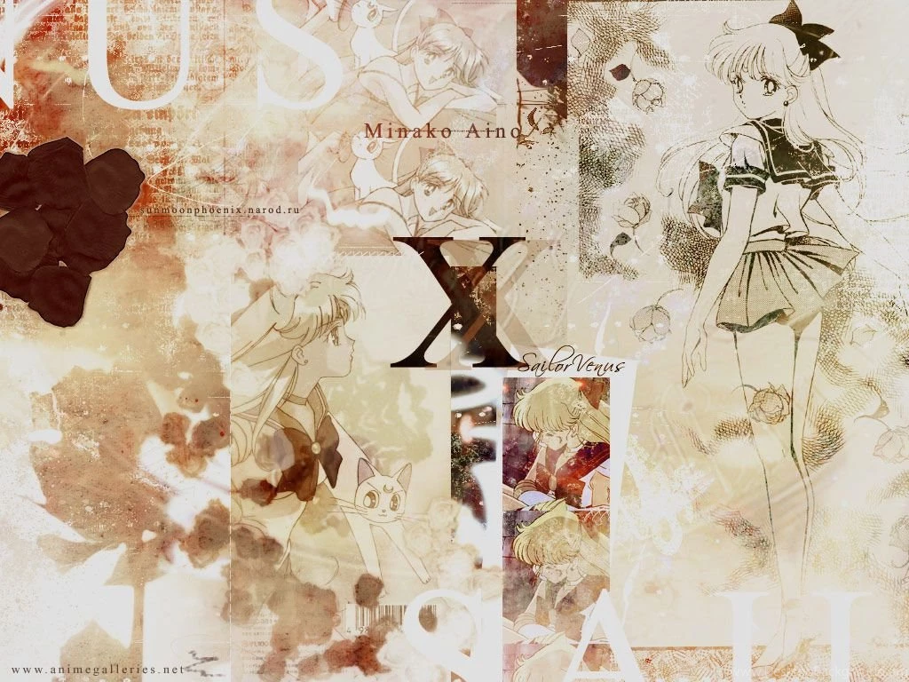Minako / Sailor Venus Sailor Senshi Wallpapers (6328739) Fanpop