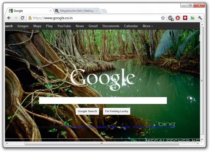 How To Automatically Rotate Bing, Picasa Or Flickr Featured Images ...