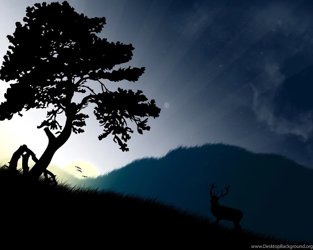 Wallpapers Vector Graphics Image