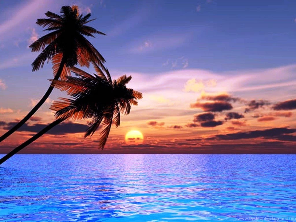 Most Beautiful Sunset In The World Wallpaper.