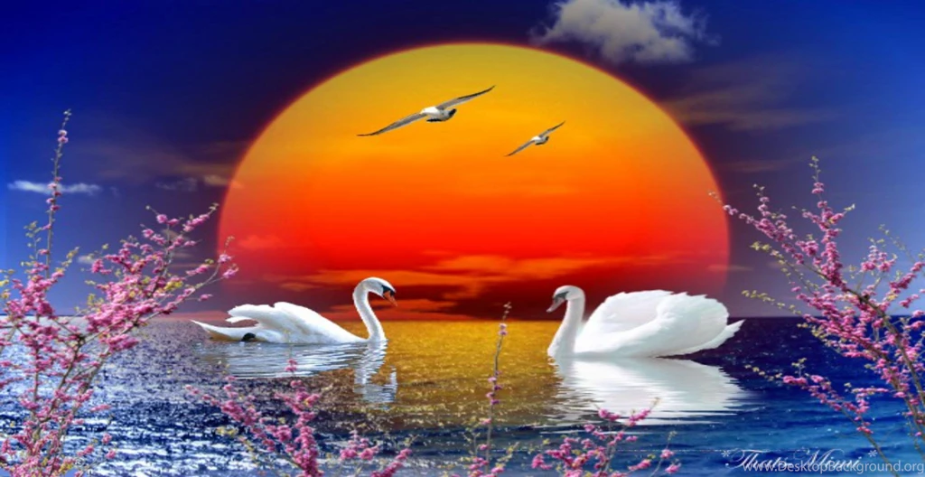 Beautiful Sunset (