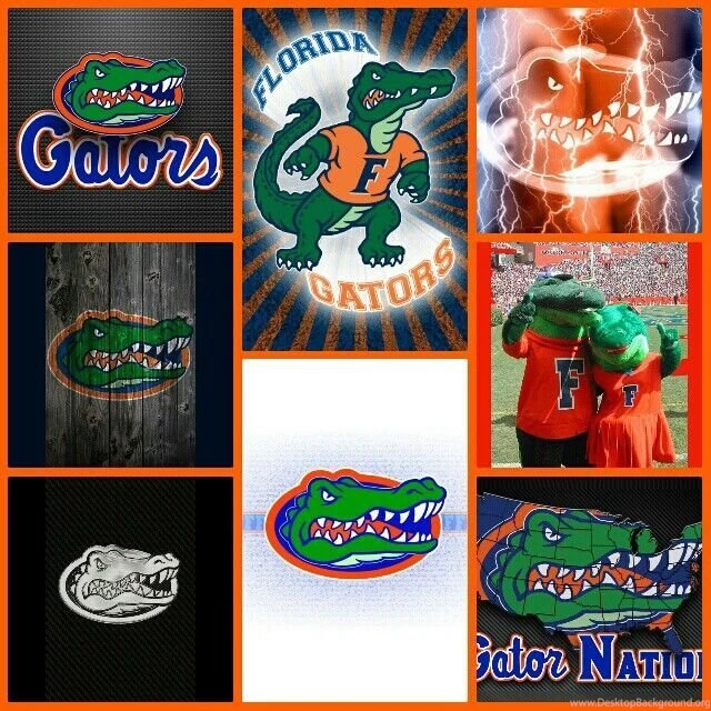 Florida Gators Wallpaper, Mobile Wallpapers Uf