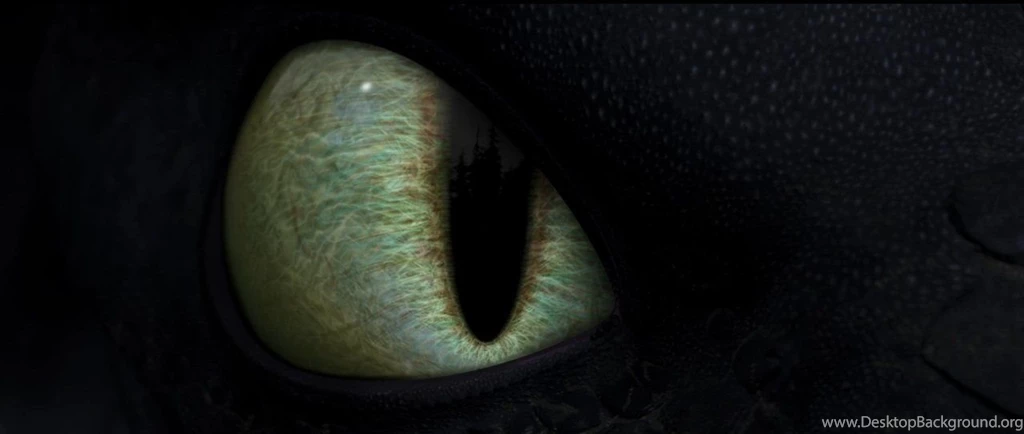 Stare Of The Night Fury By Lucy holland On DeviantArt