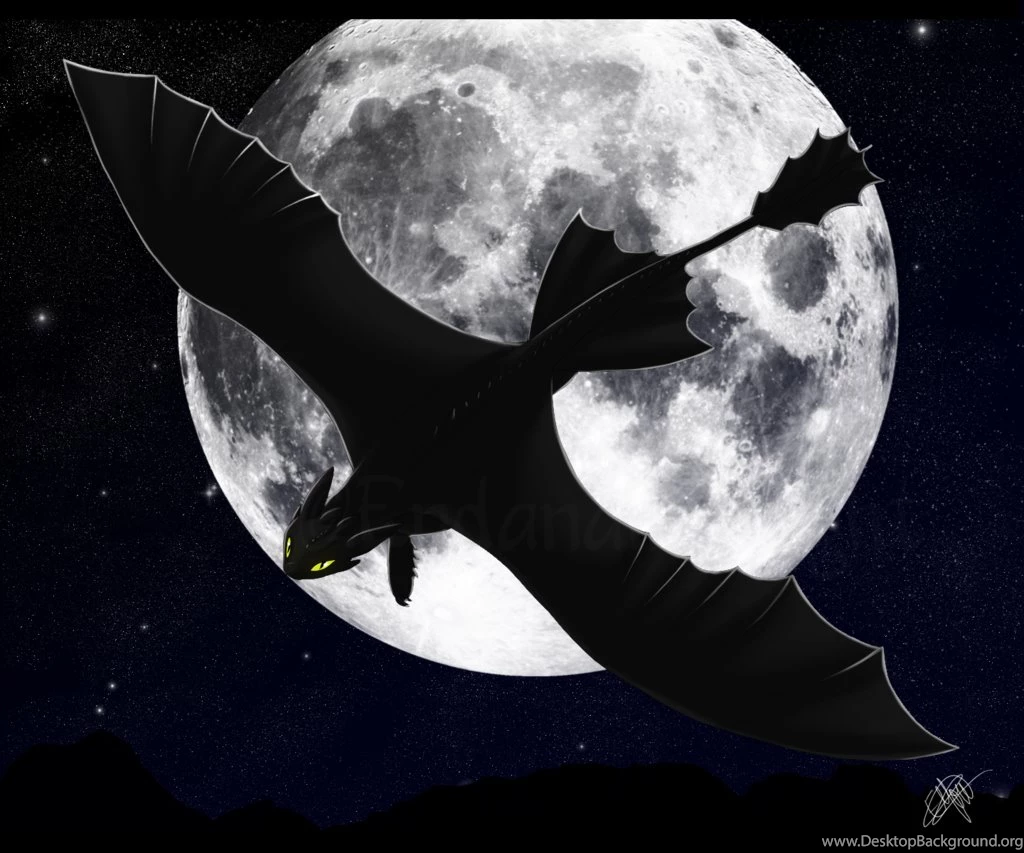 Night Fury Wallpapers   Wallpapers Cave