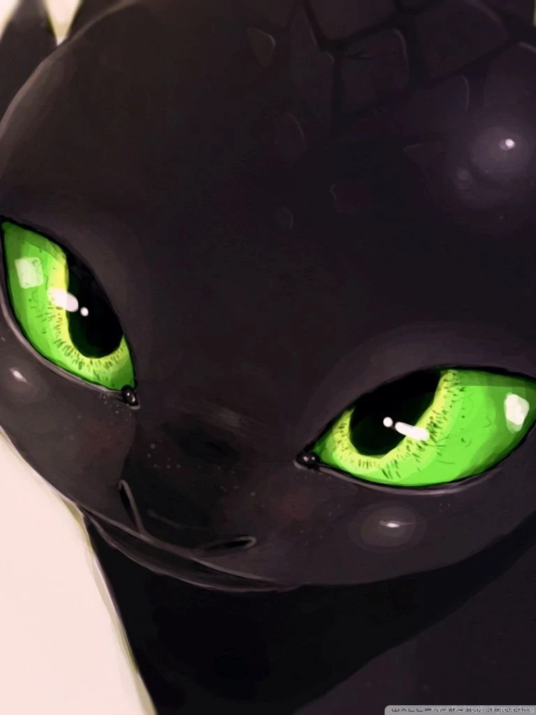 The Night Fury   How To Train Your Dragon HD Desktop Wallpapers ...