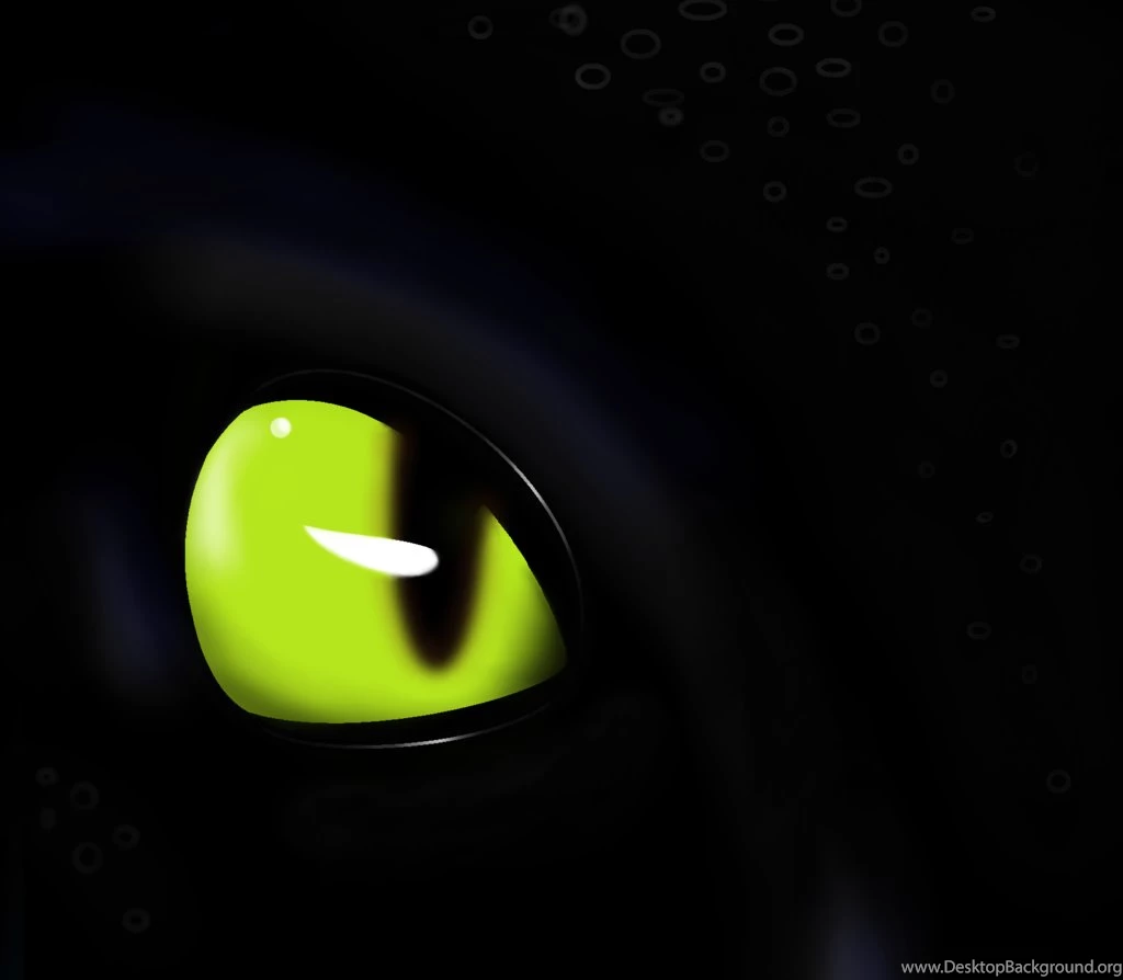 Eye Of The Night Fury By LaDeary On DeviantArt