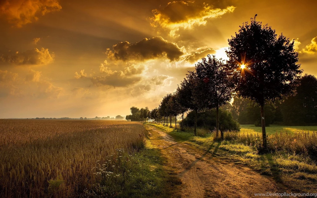 Sunset Field HD Wallpapers