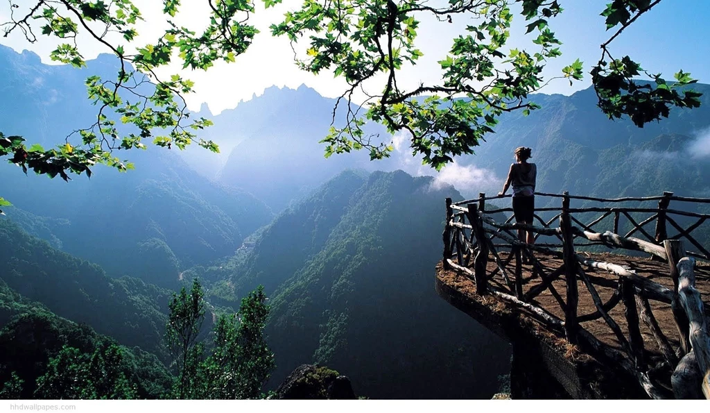The Benefits To Obtain High Definition Widescreen Wallpapers Free ...
