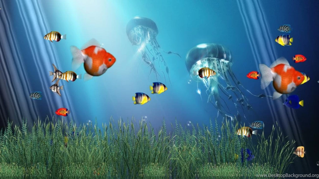 Free Aquarium Screensavers HD: July 2012